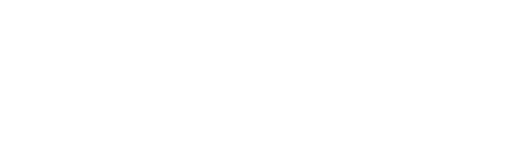 VinFast